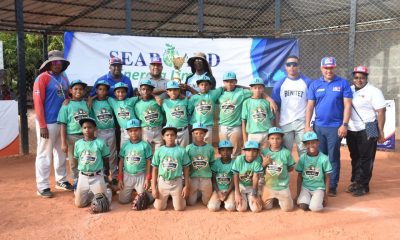 The title is already in Spanish, so there is no need for translation. 

"Liga Julio Benítez se corona campeón en torneo U10 de ABEPROSADO copa Seaboard"