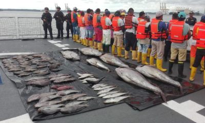 Día Internacional de la Lucha Contra la Pesca Ilegal no declarada y no reglamentada - Noticias de hoy en República Dominicana