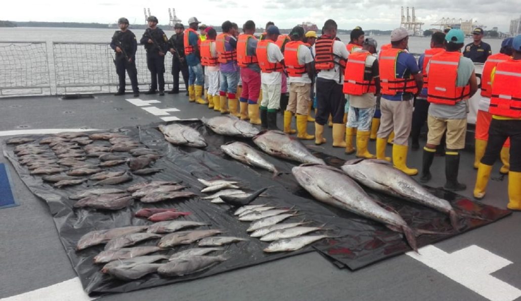 Día Internacional de la Lucha Contra la Pesca Ilegal no declarada y no reglamentada - Noticias de hoy en República Dominicana