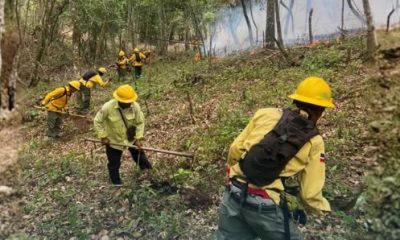 Medio Ambiente controla incendio forestal en Bonao y mantiene vigilancia en Sierra de Bahoruco