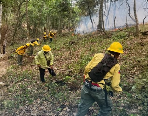 Medio Ambiente controla incendio forestal en Bonao y mantiene vigilancia en Sierra de Bahoruco