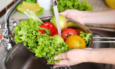 Día Mundial de la Inocuidad de los Alimentos