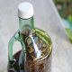 Nuevo Código Penal penaliza uso de botellas como brebajes para inducir abortos