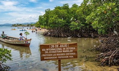 Día Internacional de Defensa del Ecosistema Manglar: un llamado a proteger los bosques costeros