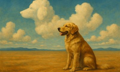 El Día Mundial del Perro: homenaje a nuestros compañeros más fieles