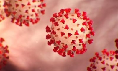 COVID-19 sigue siendo el virus respiratorio de mayor circulación en República Dominicana