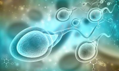 La infertilidad masculina sigue siendo un desafío silencioso para la salud reproductiva