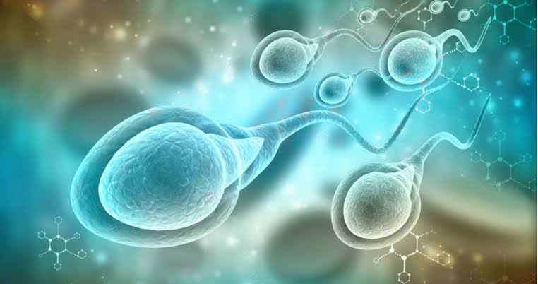 La infertilidad masculina sigue siendo un desafío silencioso para la salud reproductiva