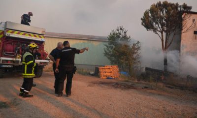 Los incendios se multiplican en Francia en medio de una nueva ola de calor - Noticias de hoy en República Dominicana