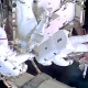 Dos astronautas de la NASA concluyen una caminata espacial para mejorar los paneles solares de la EEI