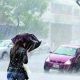 Onda tropical provocará aguaceros y tronadas esta tarde; persistirá el calor en gran parte del país