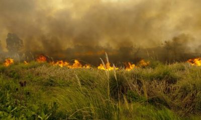 Incendios forestales: un riesgo que puede prevenirse con conciencia y acción