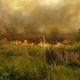 Incendios forestales: un riesgo que puede prevenirse con conciencia y acción